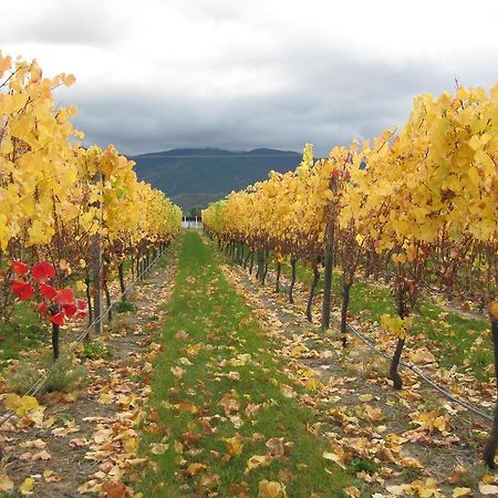 Korohi Vineyard Bnb Μπλένχαϊμ Εξωτερικό φωτογραφία